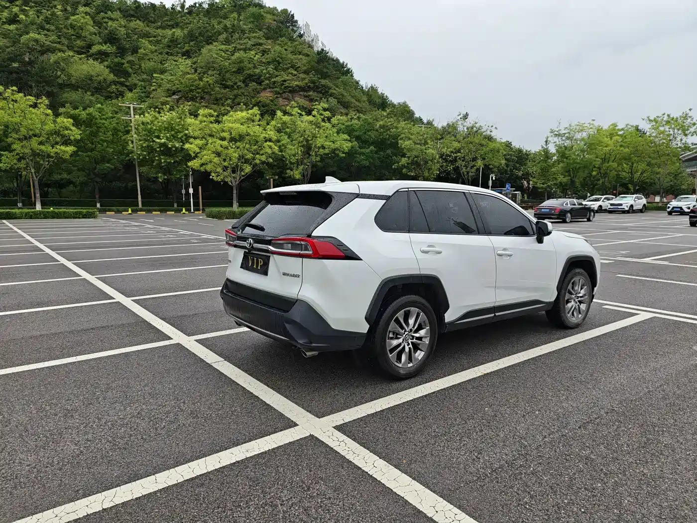 Toyota Wildlander 2023 2024 2.0L CVT FWD Leading Edition