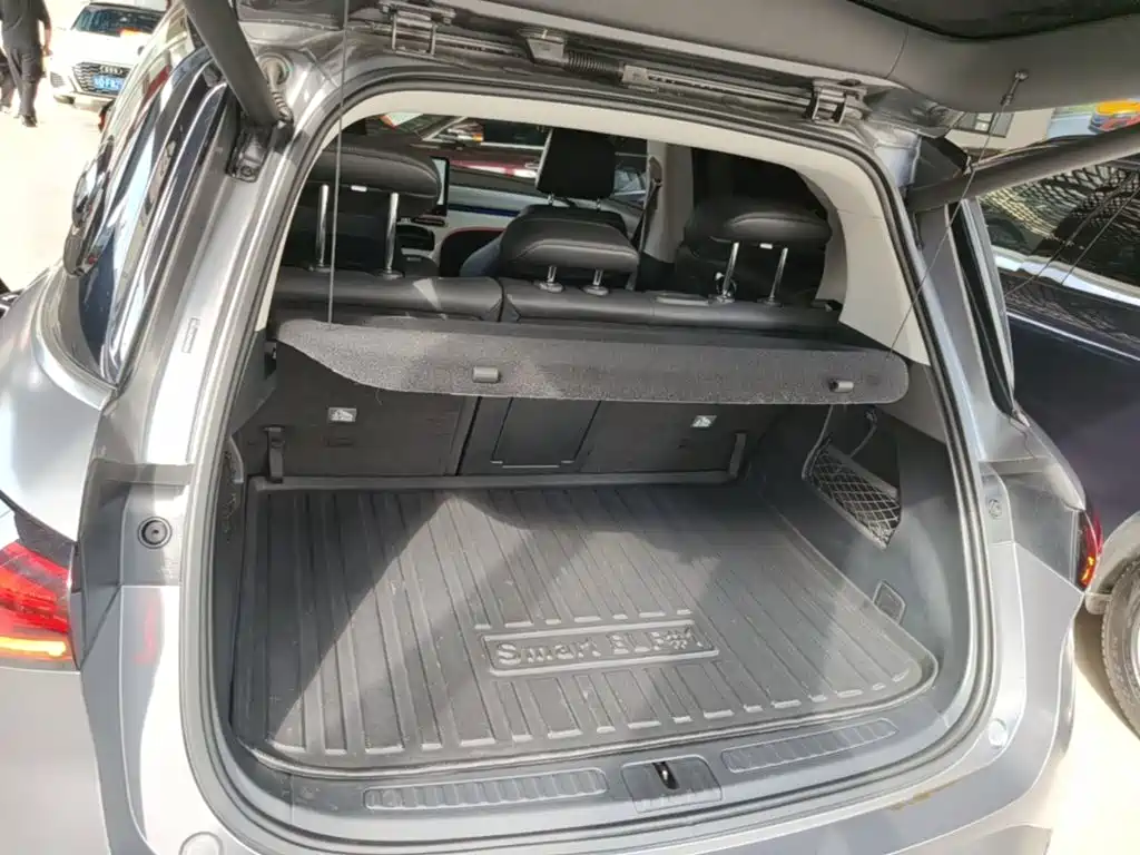 smart Elf #1 2023 2022 Premium Edition