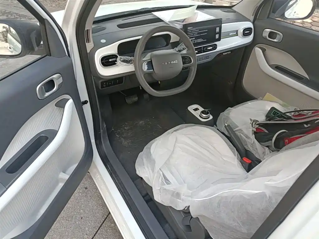 Photo 16 - Geely Galaxy Panda