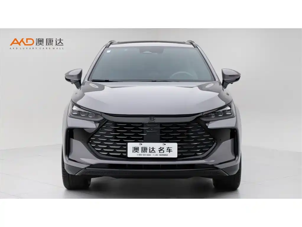 BYD Tang New Energy 2025 2025 DM-i 115KM Cloud Chariot Flagship