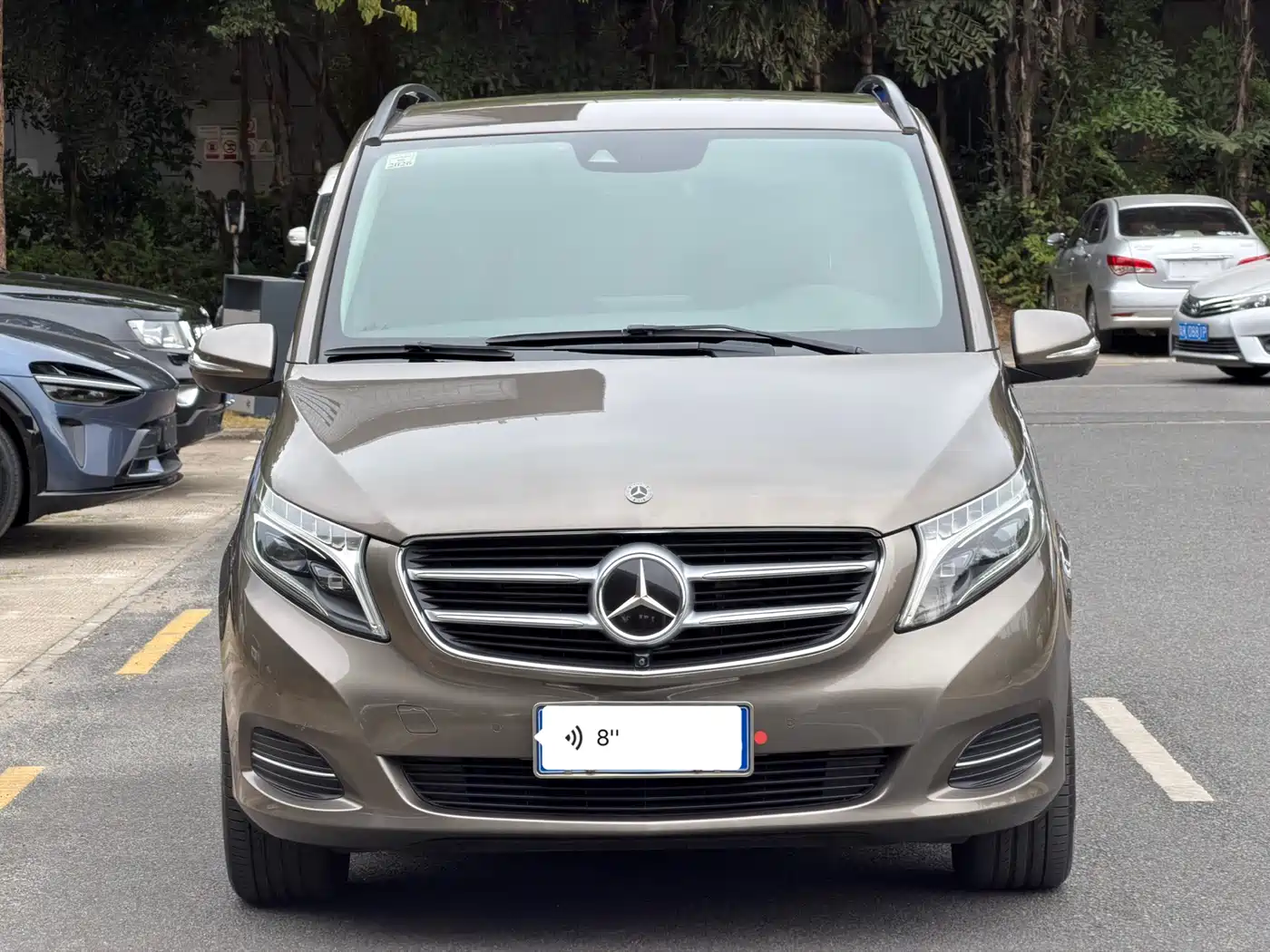 Mercedes-Benz V-Class 2018 V 260 Premium Edition China V фото 2