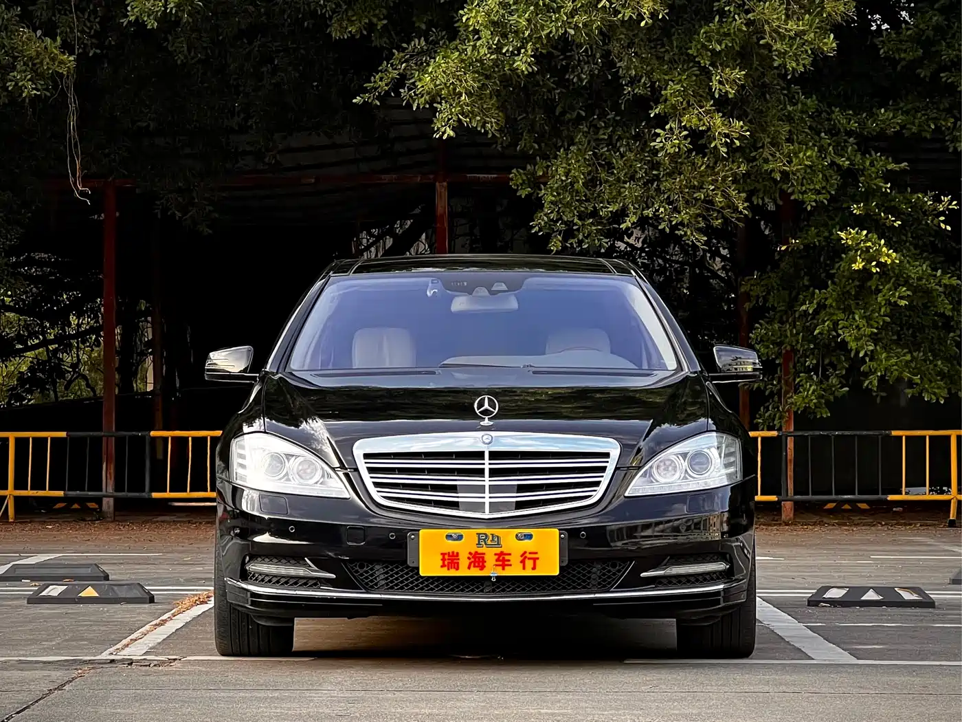 Mercedes-Benz S-Class 2010 S 600 L фото 2