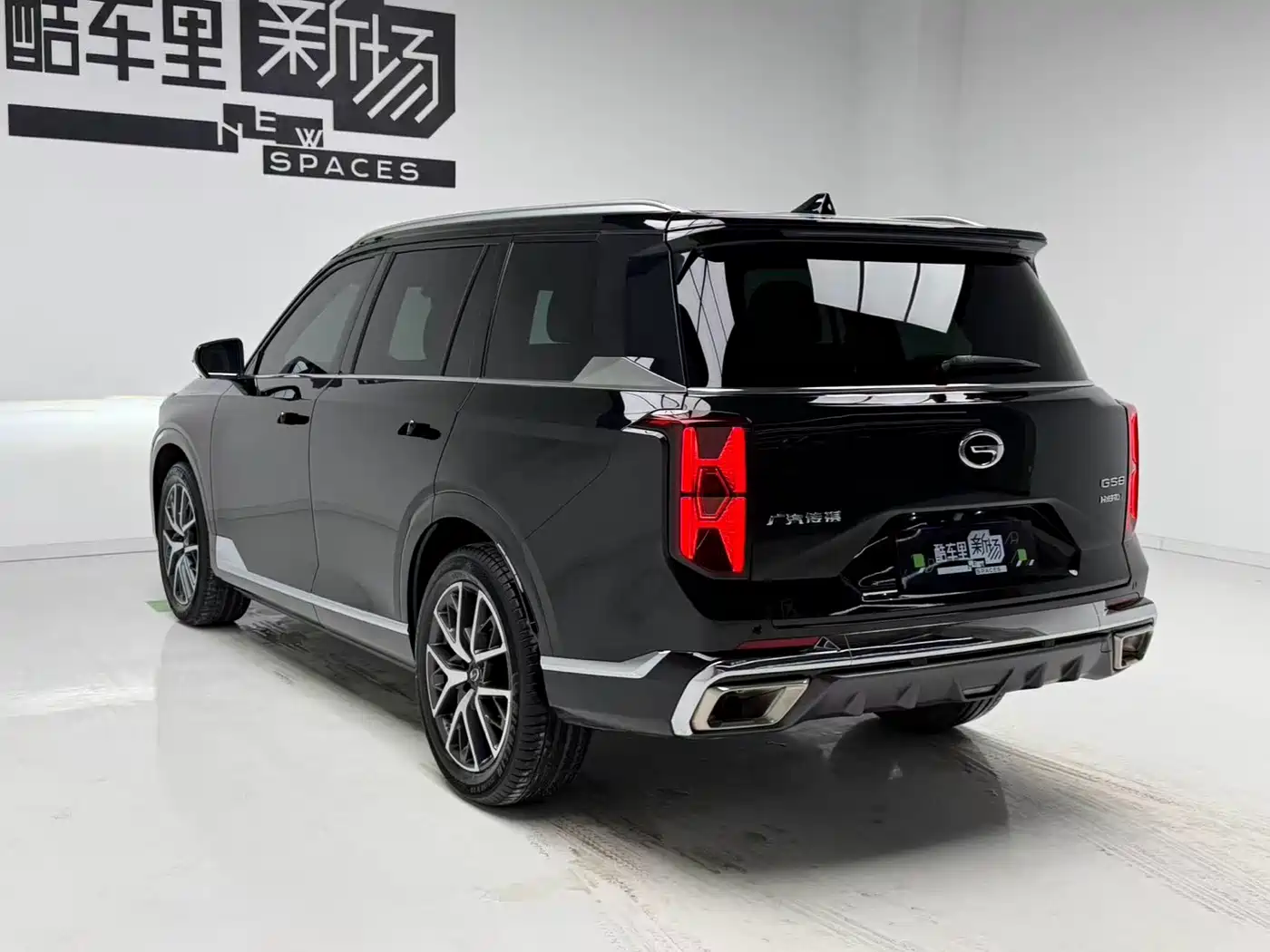 GAC Trumpchi Trumpchi GS8 2022 Dual Engine Series 2.0TM 2WD Premium Edition (7-Seater) фото 6