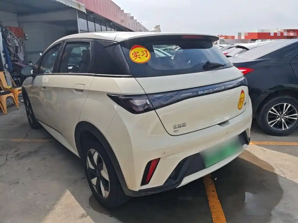 BYD Dolphin 2026 2025 420km Freedom Edition
