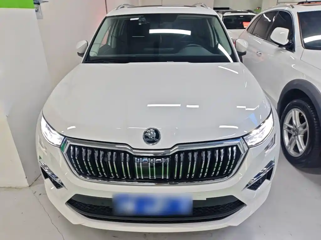 Фото 3 - Škoda Kodiaq