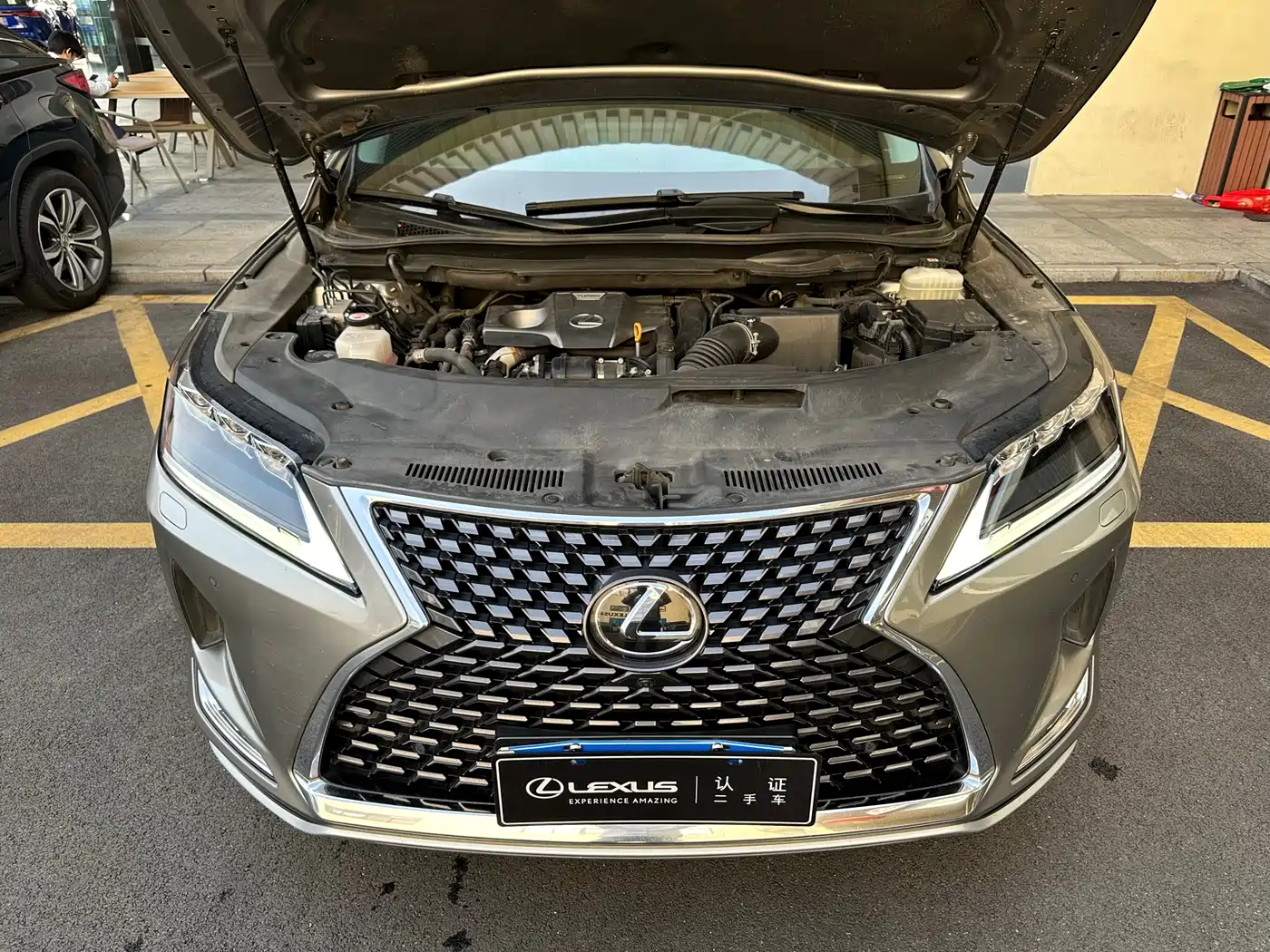 Lexus RX 2020 Facelift 300 AWD Elegance Edition фото 4