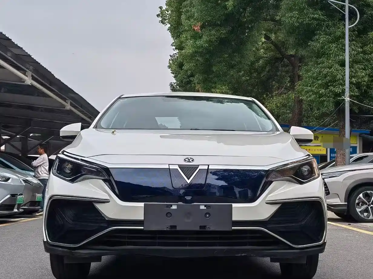 2022 Venucia D60EV