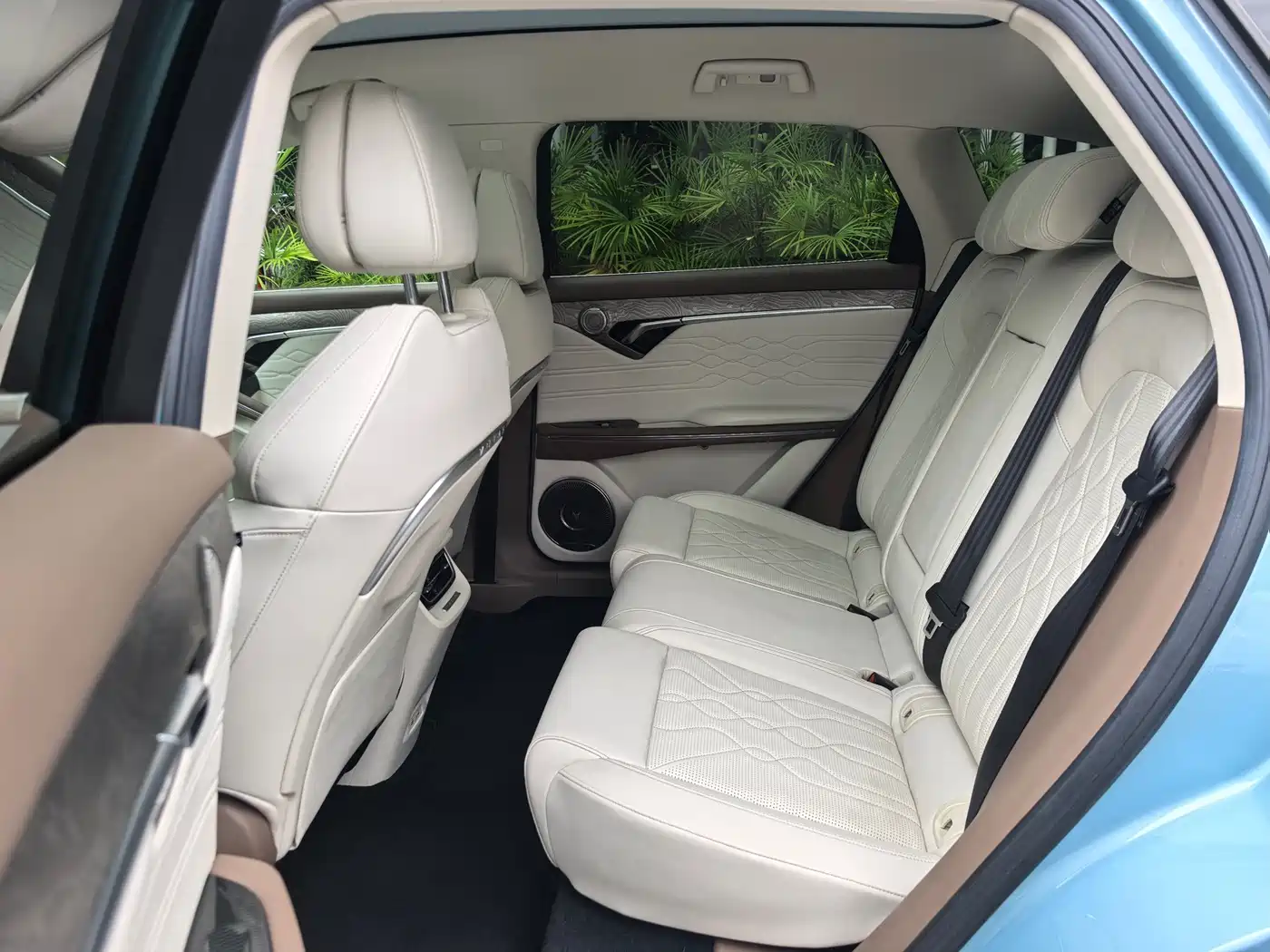 Voyah Free 2022 2021 AWD Standard Extended Range Edition