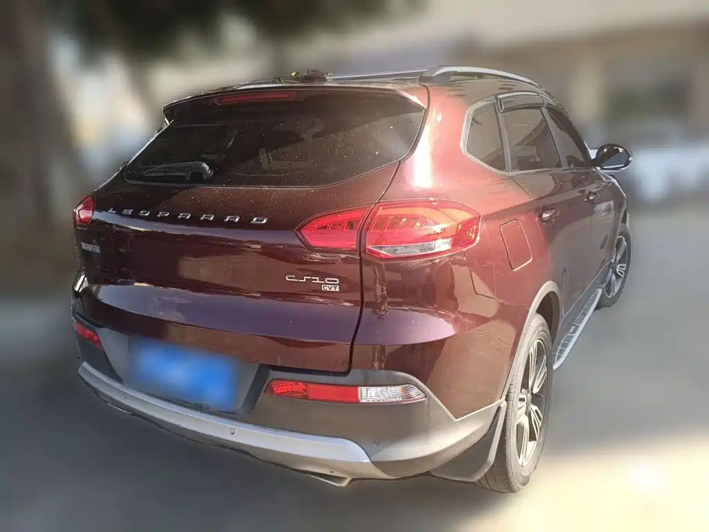 Photo 4 - Leopaard CS10