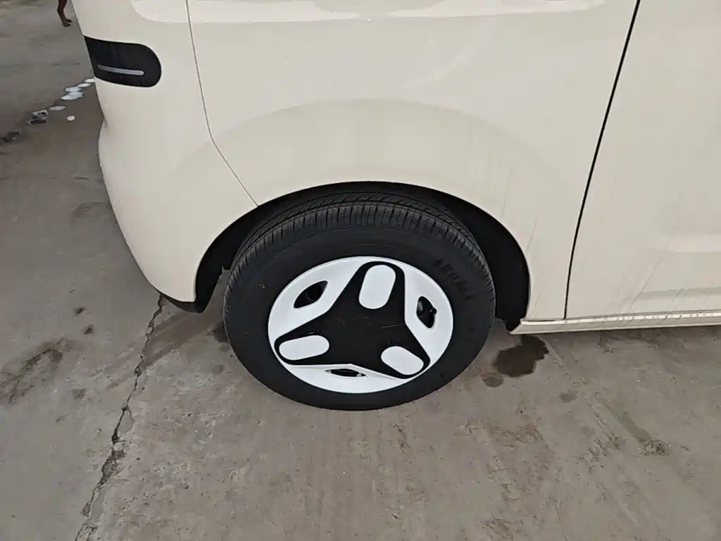 Geely Galaxy Panda 2026 2025 Panda mini 210km Vitality Bear