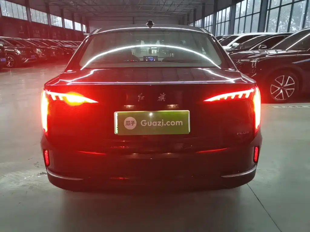 Photo 6 - Hongqi E-QM5