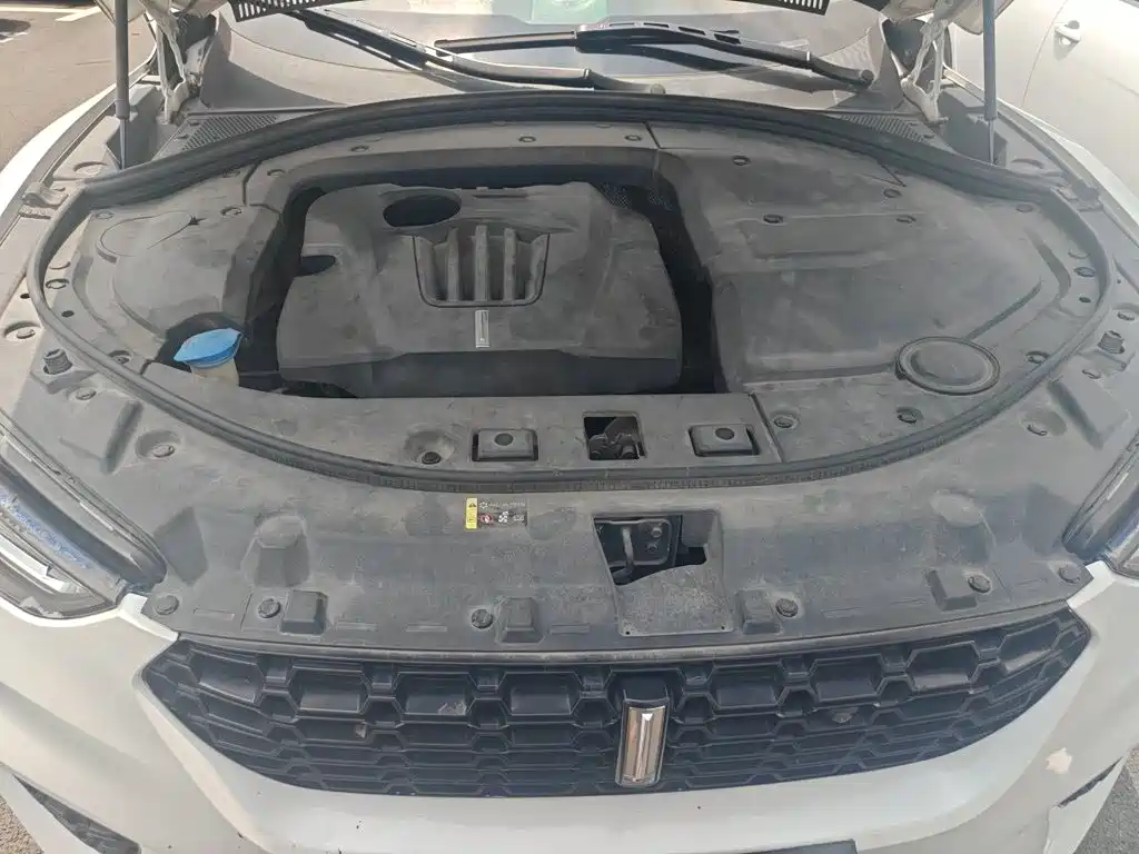 WEY VV7 2018 2017 2.0T Flagship