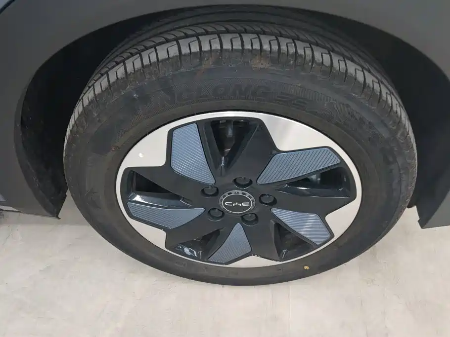 BYD Dolphin 2026 2025 420km Freedom Edition