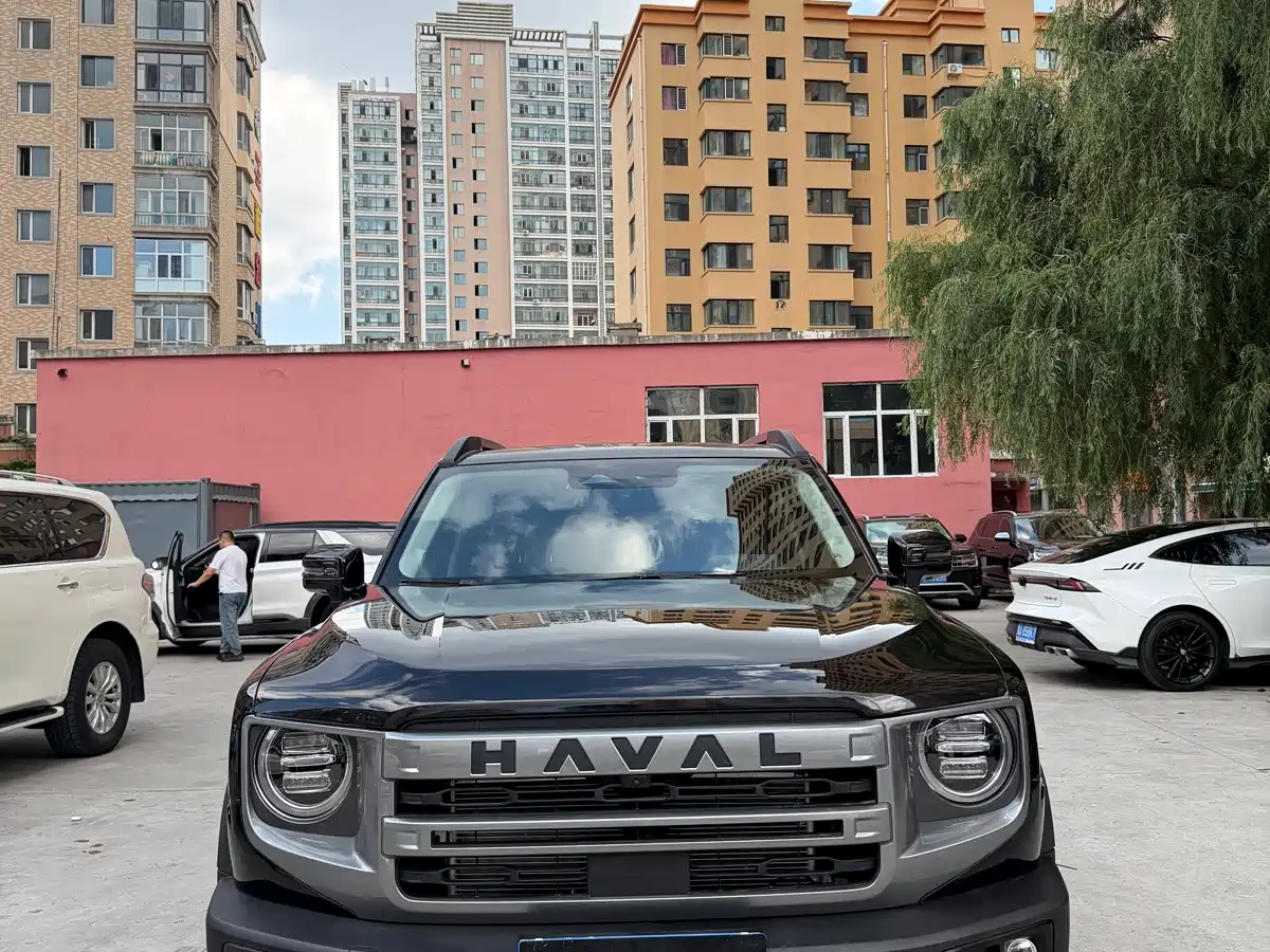 Фото 2 - Haval Dargo