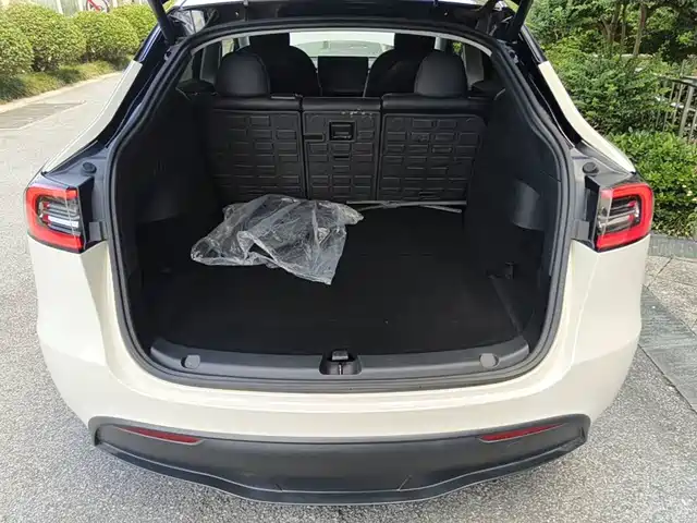 Tesla Model Y 2021 Standard Range Rear-Wheel Drive — фото 5