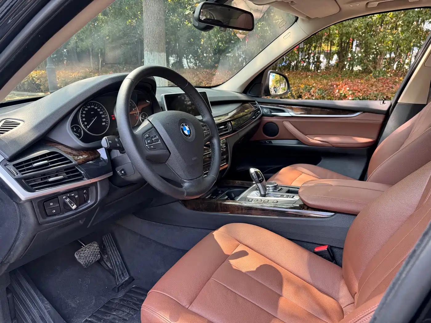 BMW X5 (Import) 2014 xDrive35i Leading фото 6