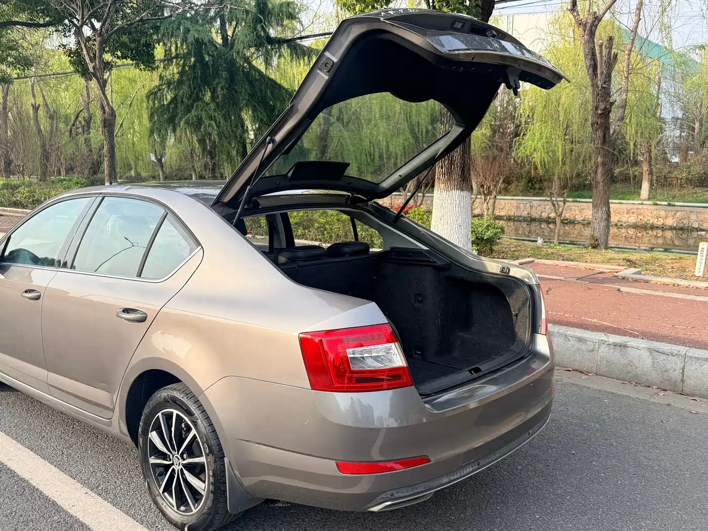 Škoda Octavia 2017 1.6L Manual Smart Edition фото 18