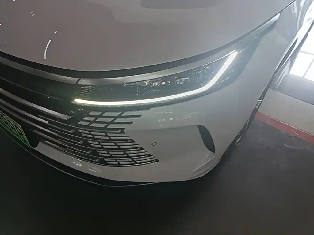 BYD Destroyer 05 2023 2022 DM-i 120KM Premium