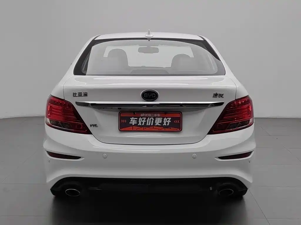 Фото 4 - BYD Surui