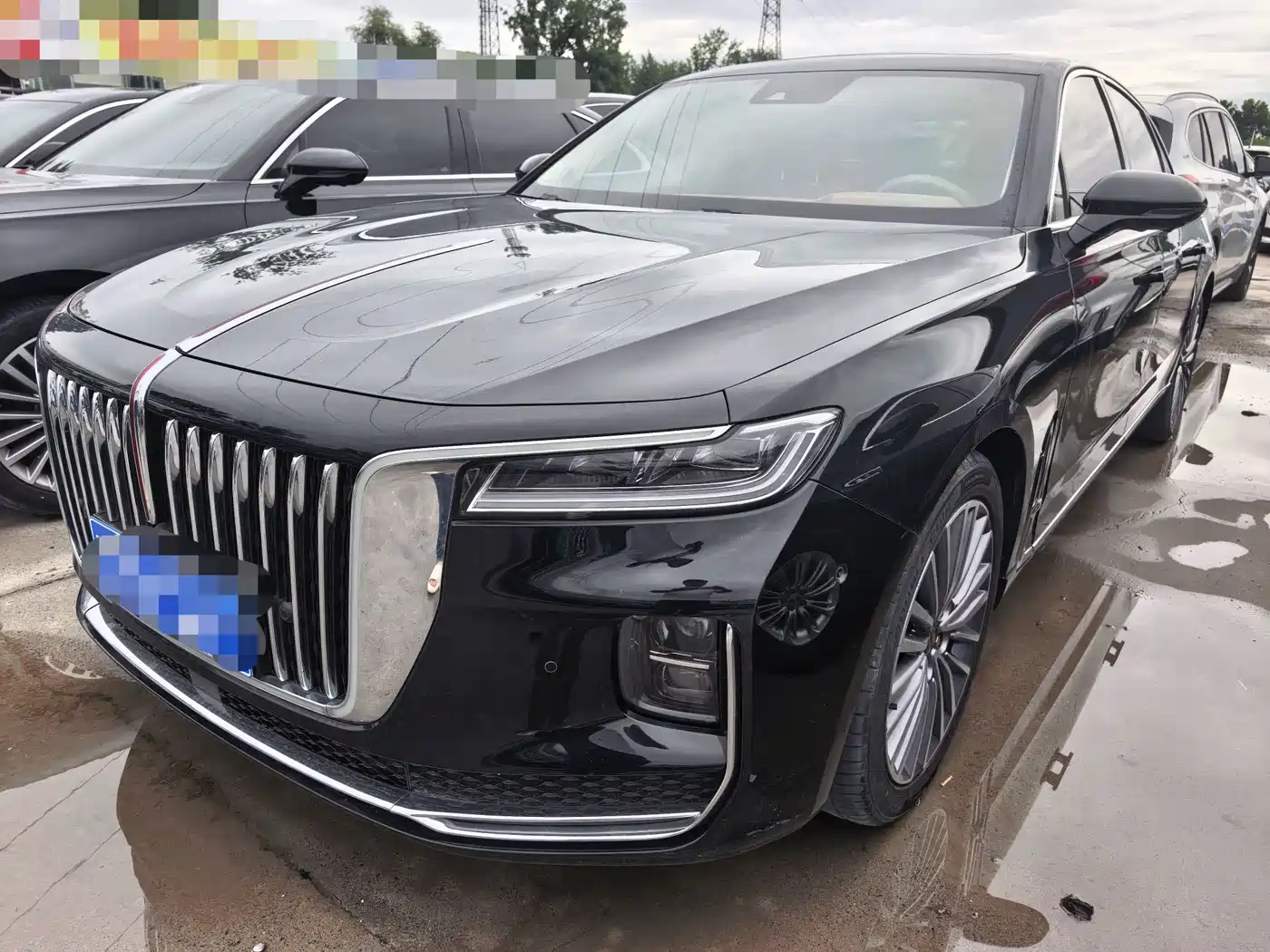 Hongqi H9 2020 2.0T Smart Connection Qi Chang Edition
