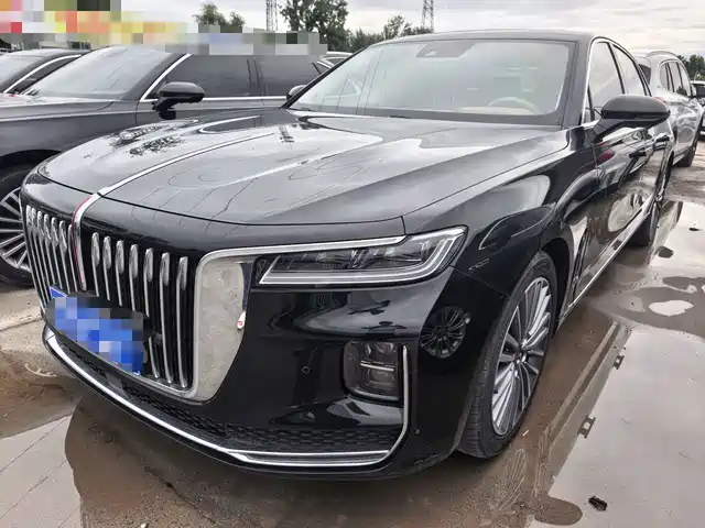 Hongqi H9 2020 2.0T Smart Connection Qi Chang Edition