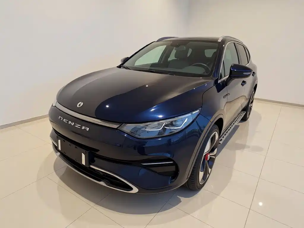 Denza X 2020