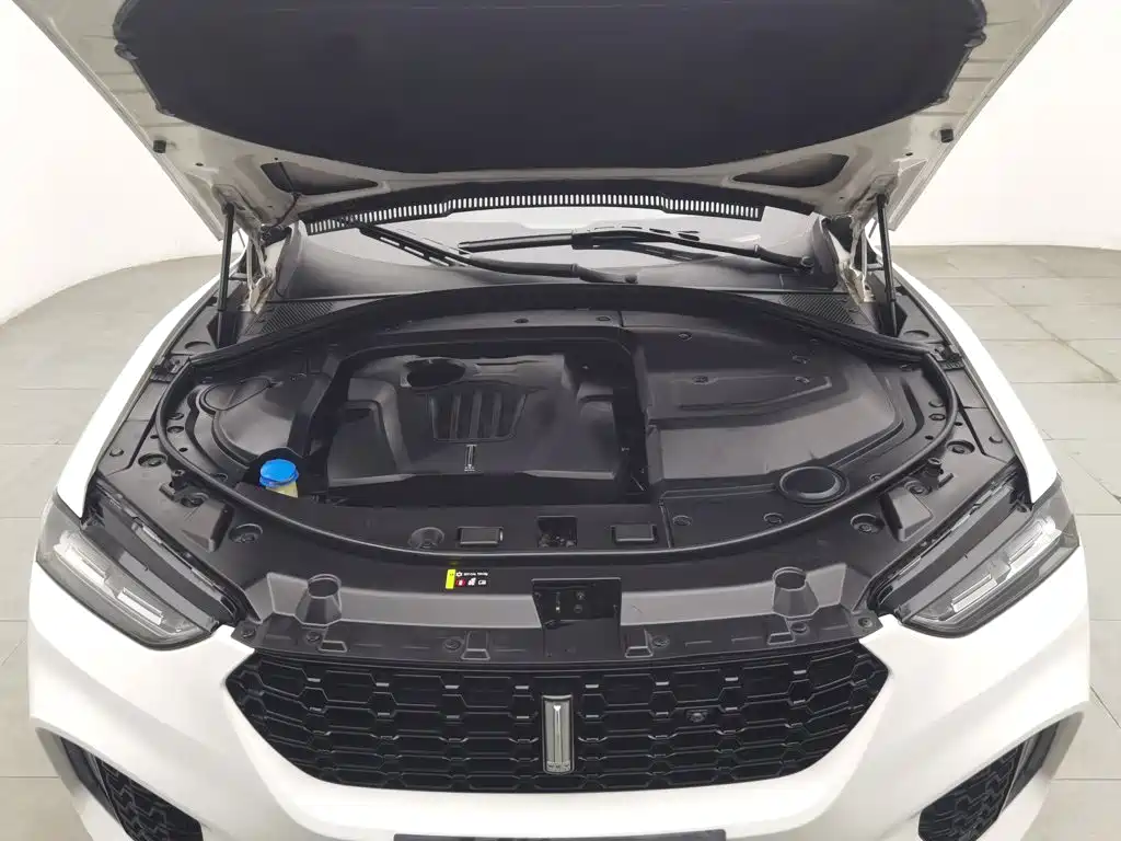 WEY VV7 2017 2017 2.0T Flagship