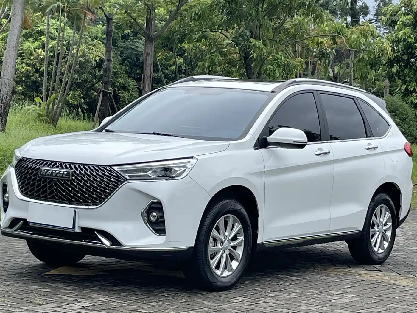 Фото 2 - Haval M6