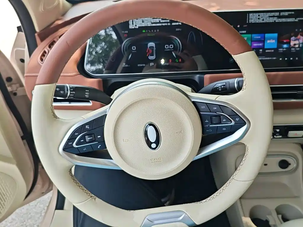 Ora Good Cat 2024 2023 401km Standard Range Luxury LFP