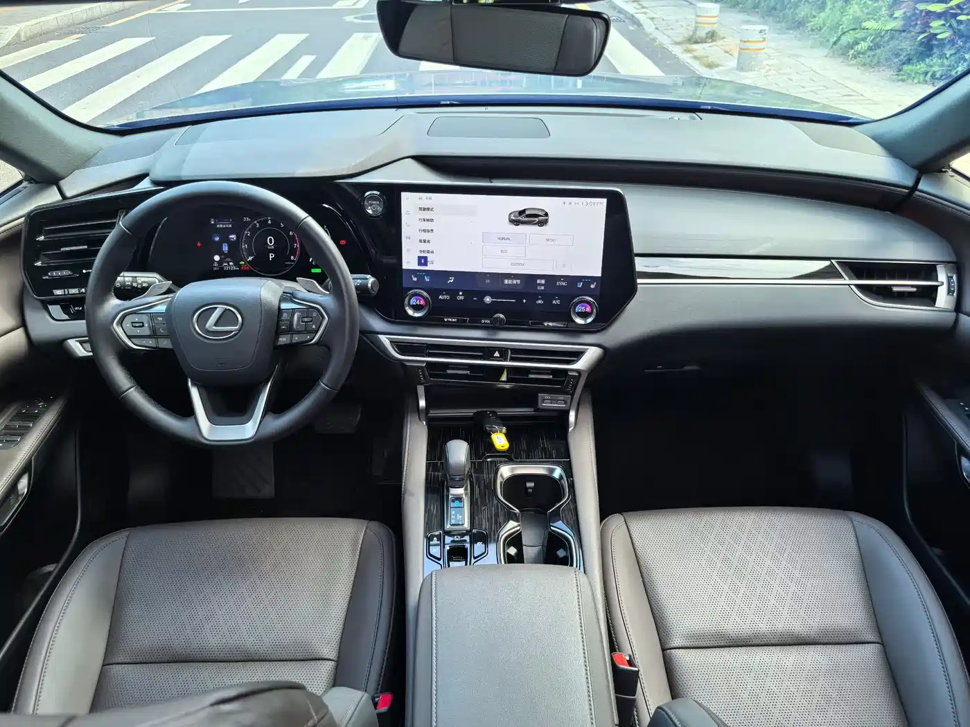 LEXUS RX
