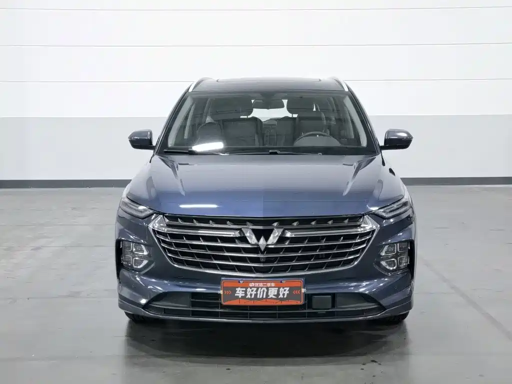 Wuling Motors Wuling Victory 2020 2020 1.5T CVT Flagship