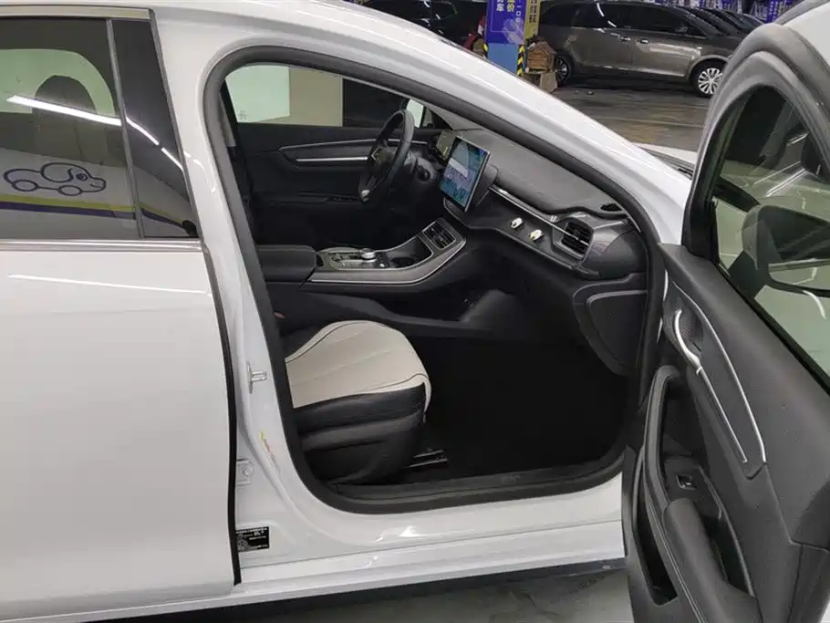 BYD Destroyer 05 2024 Glory Edition DM-i 55KM Luxury фото 8