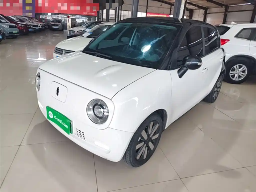 Ora Black Cat 2021 351km Standard Model