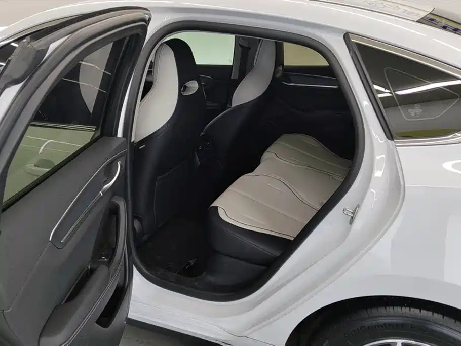 BYD Destroyer 05 2024 Glory Edition DM-i 55KM Luxury фото 11