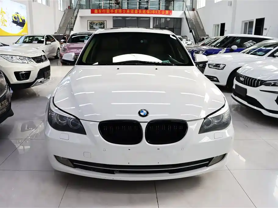 BMW 5 Series 2010 520Li Leading фото 2