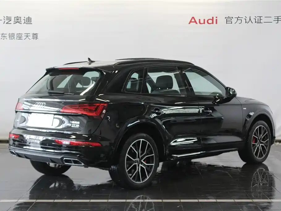 Audi Q5L 2025 45th Anniversary Edition 45 TFSI Luxury Sport фото 5