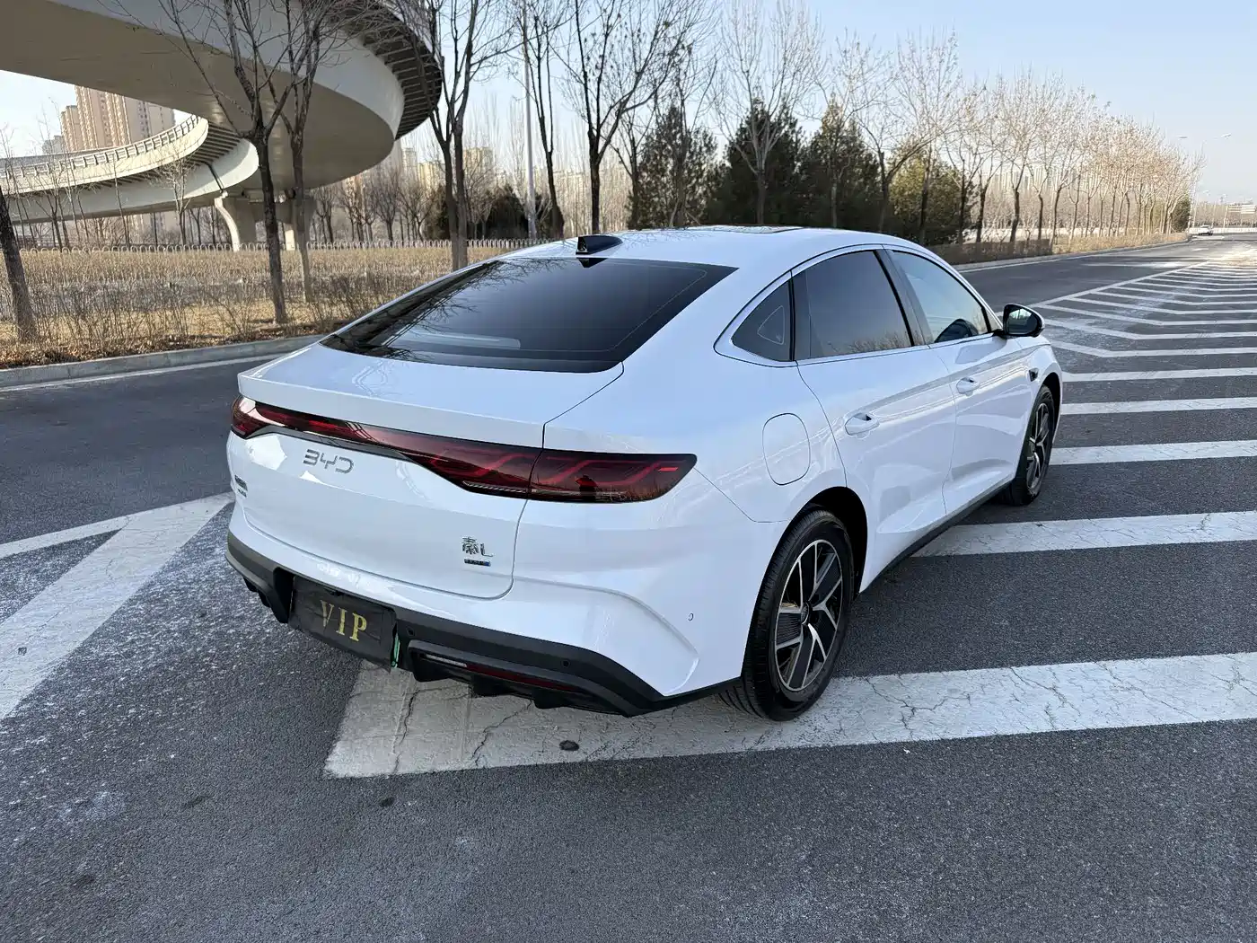 BYD QIN L