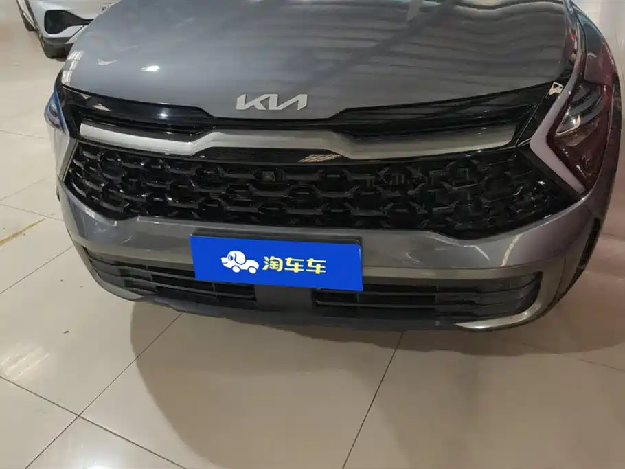 KIA LION PLATINUM EXPANDS THE WORLD