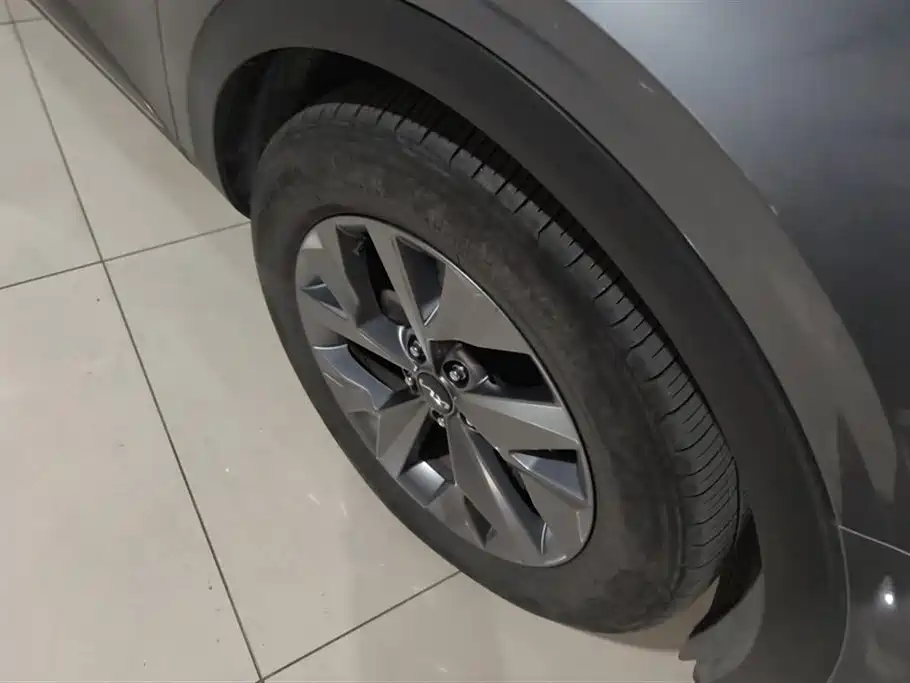 KIA LION PLATINUM EXPANDS THE WORLD