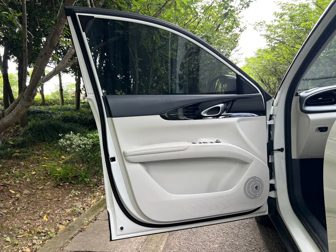 Geely Galaxy Starry Wish 2025 310km Youth Edition фото 14