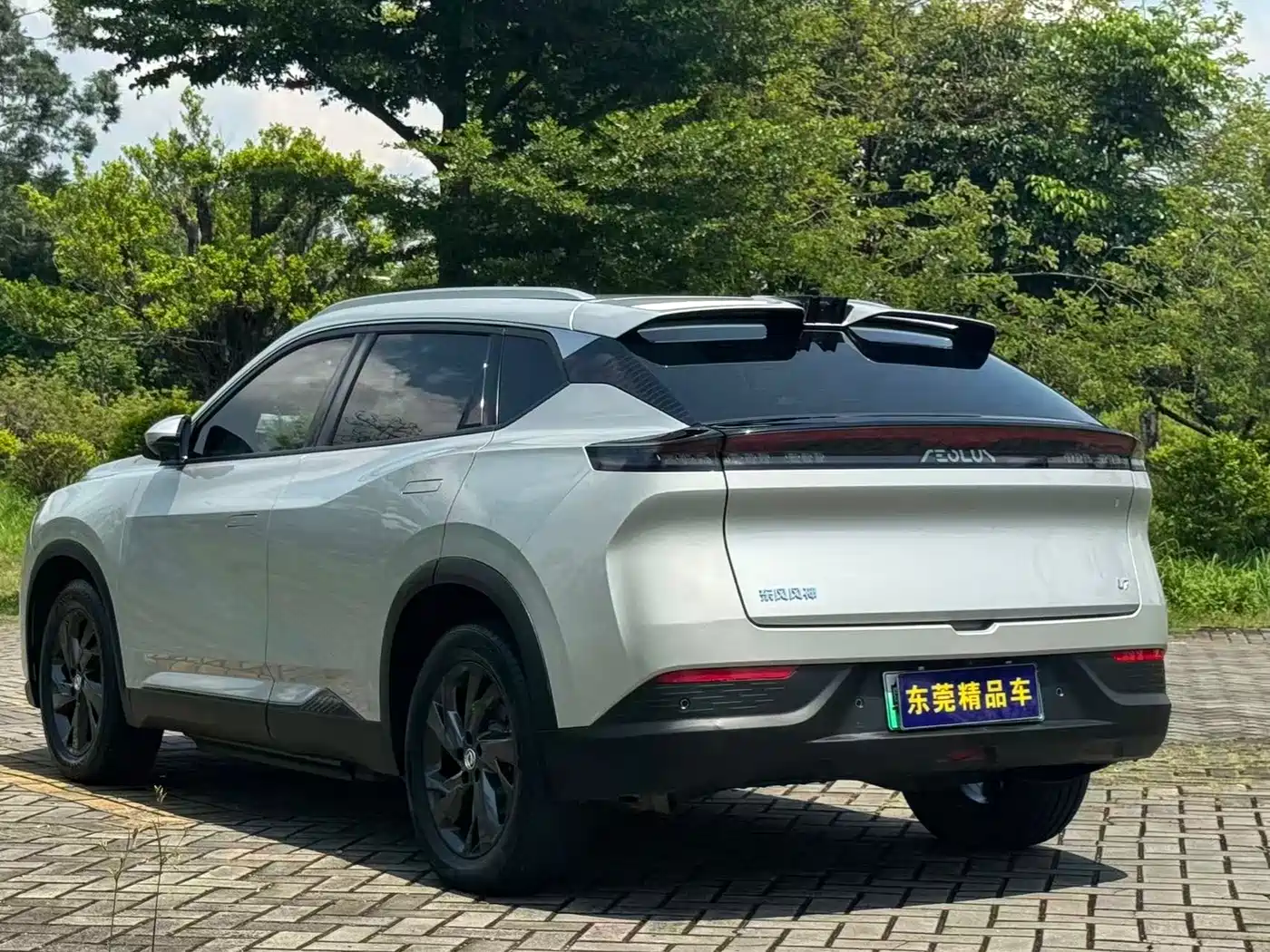 DONGFENG FENGSHEN L7
