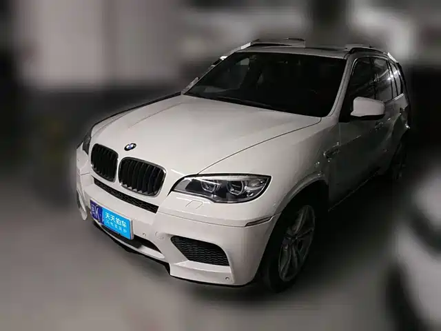 BMW X5 M 2010 X5 M — фото 1