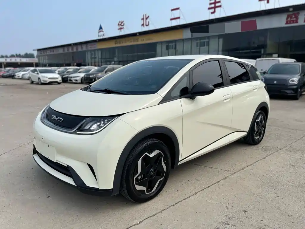 BYD Dolphin 2021
