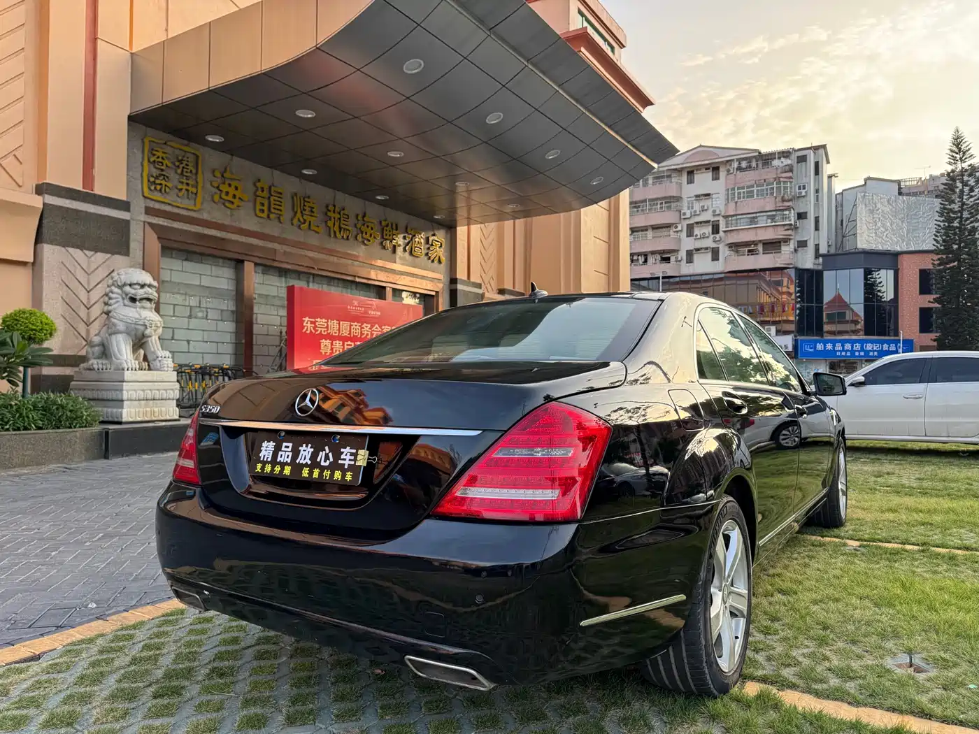 Mercedes-Benz S-Class 2010 S 350 L Luxury фото 6