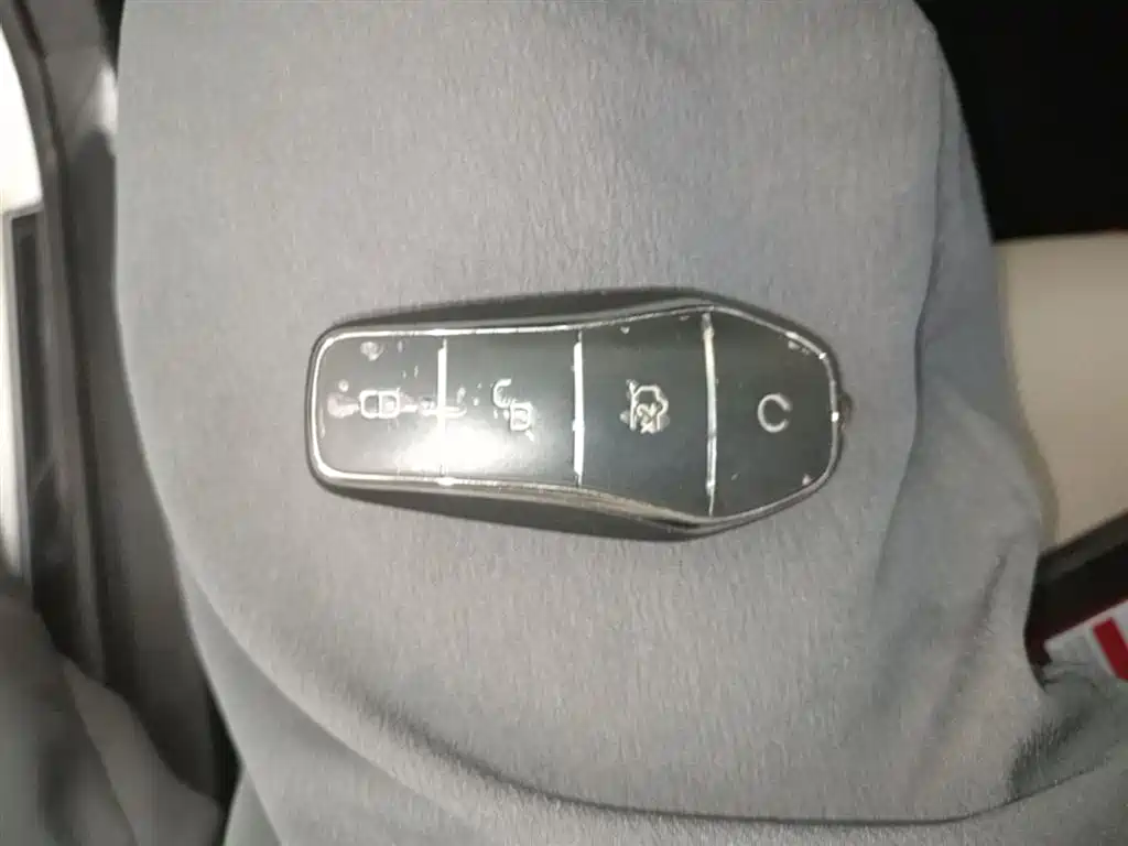 BYD Qin PLUS 2024 Glory Edition EV 510KM Leading фото 9