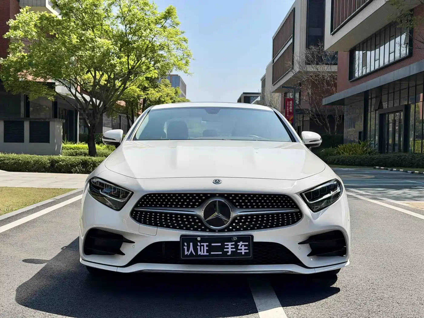 Mercedes-Benz CLS 2020 CLS 300 Dynamic фото 14