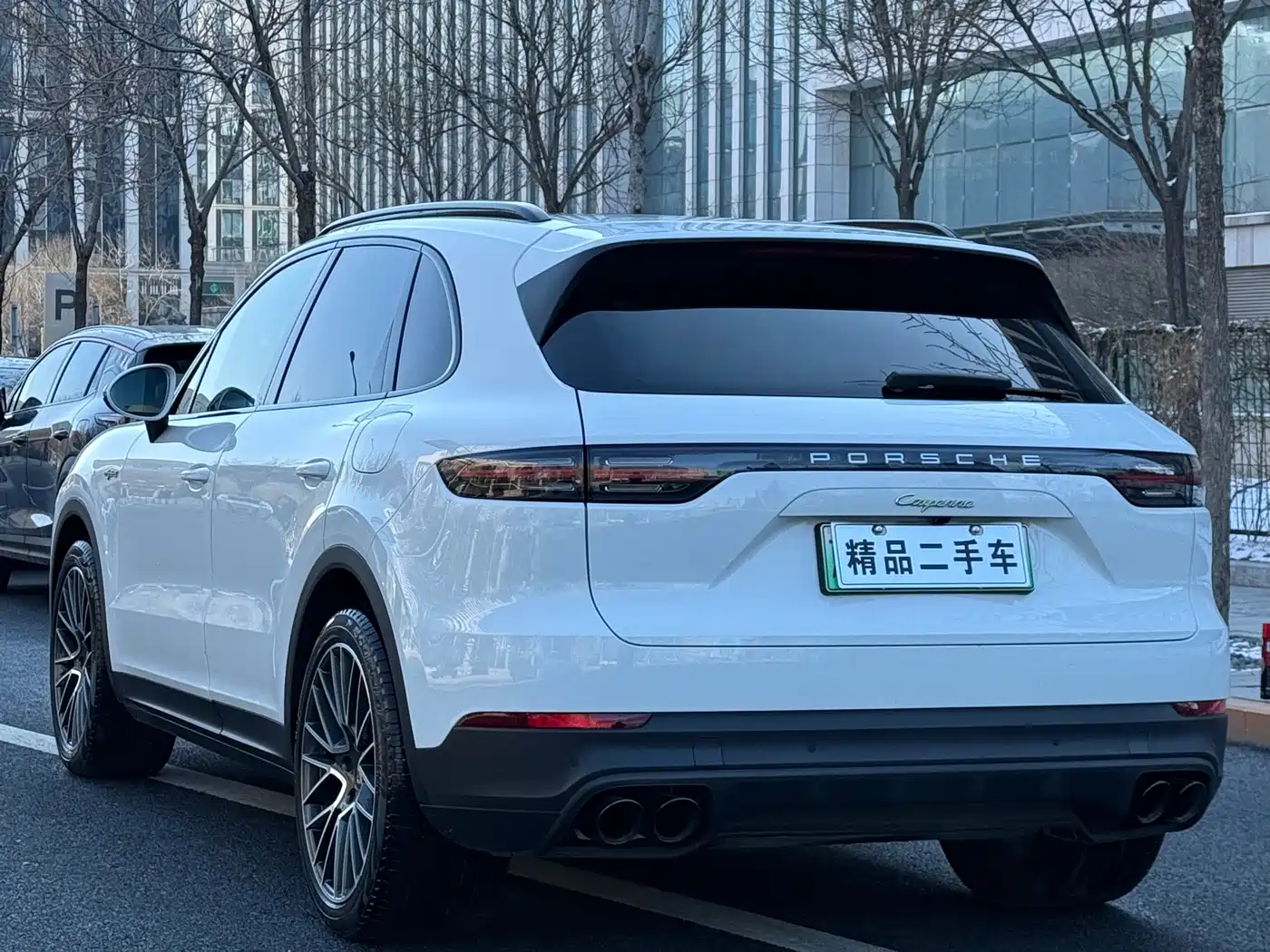 PORSCHE CAYENNE NEW ENERGY