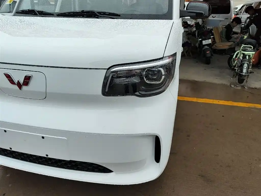 Wuling Motors Wuling Zhiguang NEV 2026 2025 Model 305km Base Version