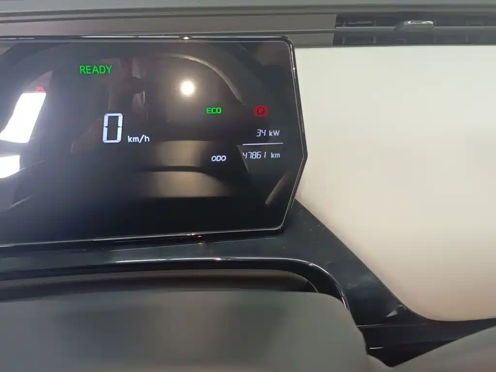 QQ New Energy Little Ant 2024 2024 Facelift 321km Beloved Edition