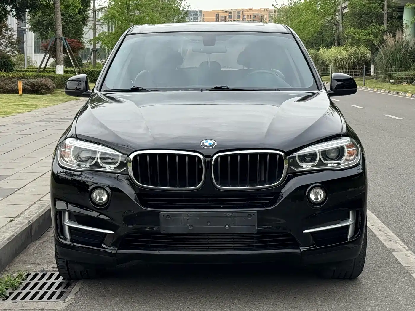 BMW X5 (Import) 2017 xDrive35i Elegance фото 2
